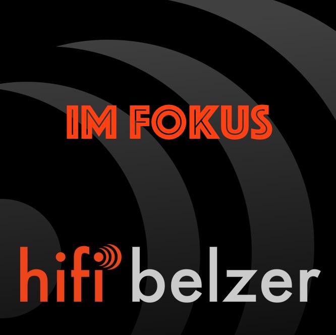 Im Fokus: WiiM Streamingplayer