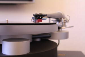 wilsonbenesch-circle-6